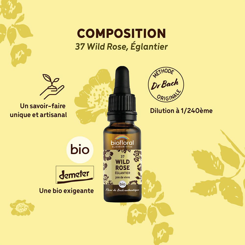 Fond jaune avec flacon. Texte: Composition, Wild Rose, logo Demeter, Dr. Bach.