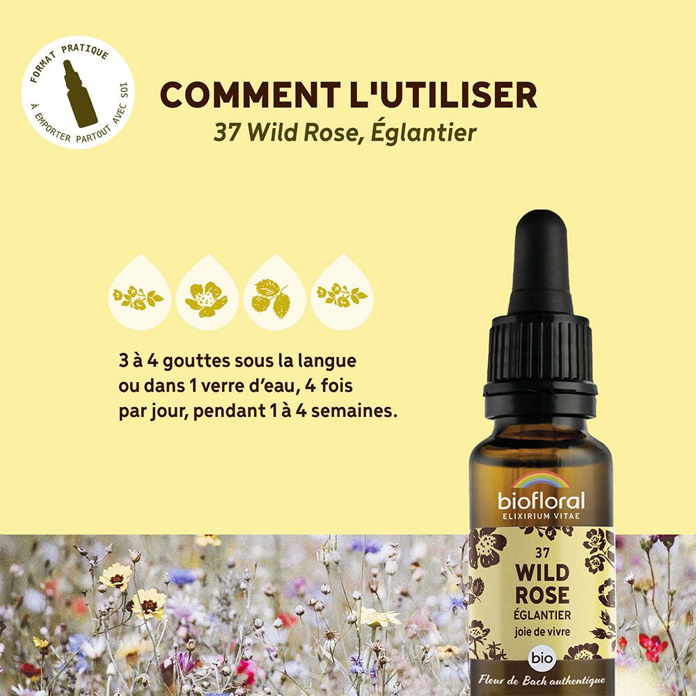 Gele achtergrond met fles. Tekst: Hoe te gebruiken, Wild Rose, dosering, 4 weken.
