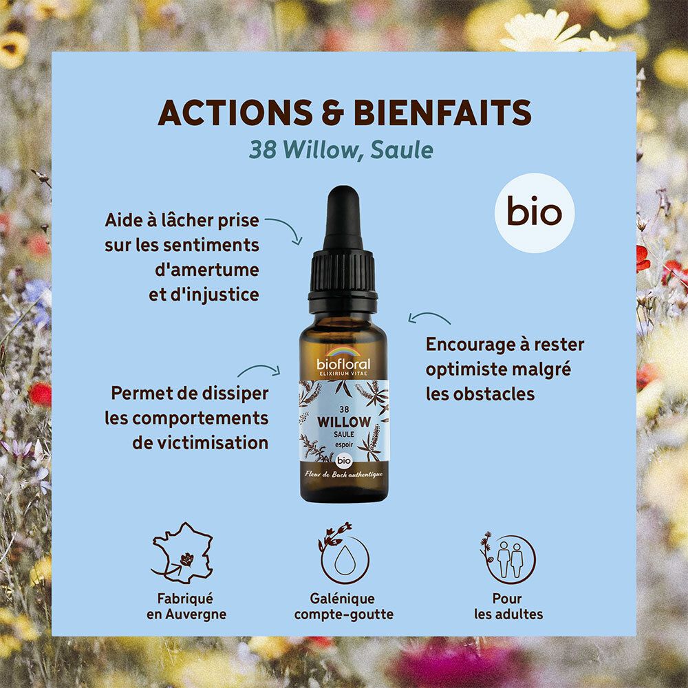 Blauwe achtergrond met tekst en productafbeelding. Tekst: Actions & Bienfaits, 38 Willow, Saule. Bio-label.
