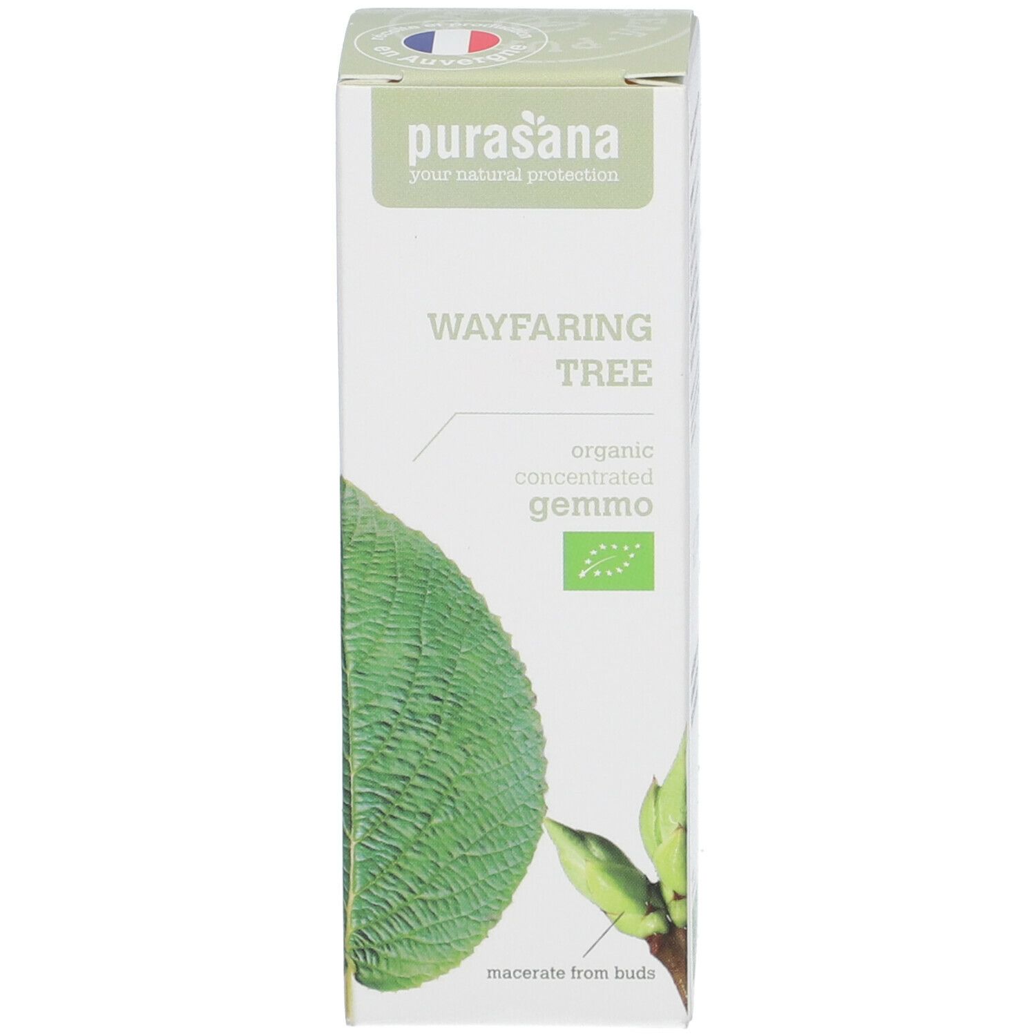 Groene verpakking met witte opschrift: Wayfaring Tree, organic concentrated gemmo, Purasana.