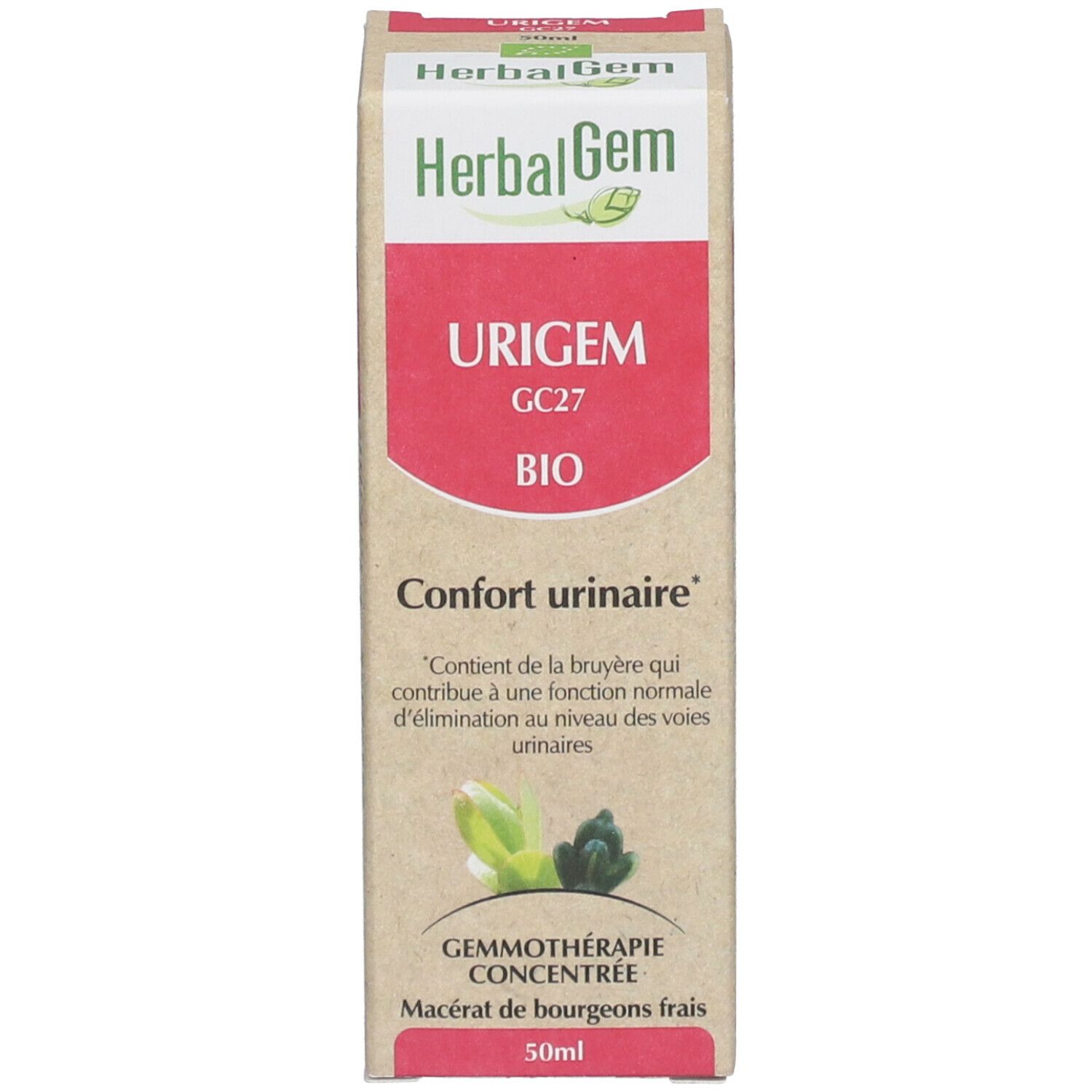 Boîte avec "HerbalGem URIGEM". Texte : "Gemmothérapie concentrée".