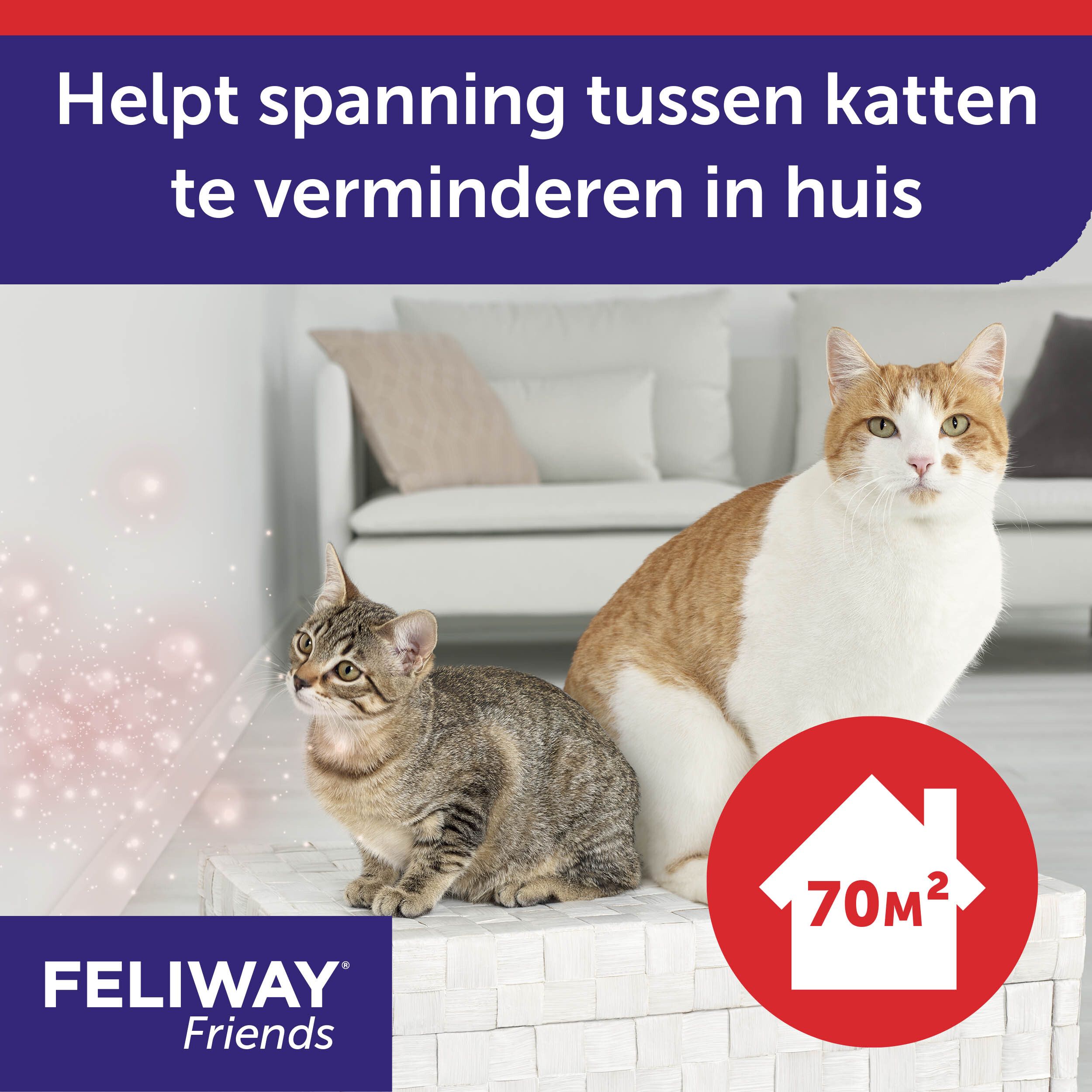 FELIWAY® FRIENDS, 3 navullingen. Helpt spanning tussen katten te verminderen.