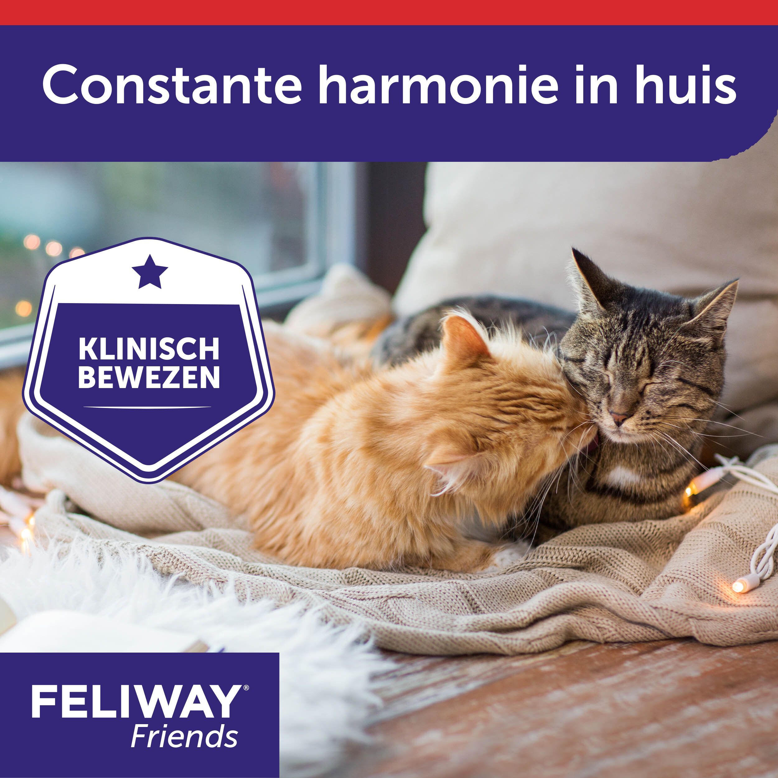 FELIWAY® FRIENDS, 3 navullingen. Helpt spanning tussen katten te verminderen.