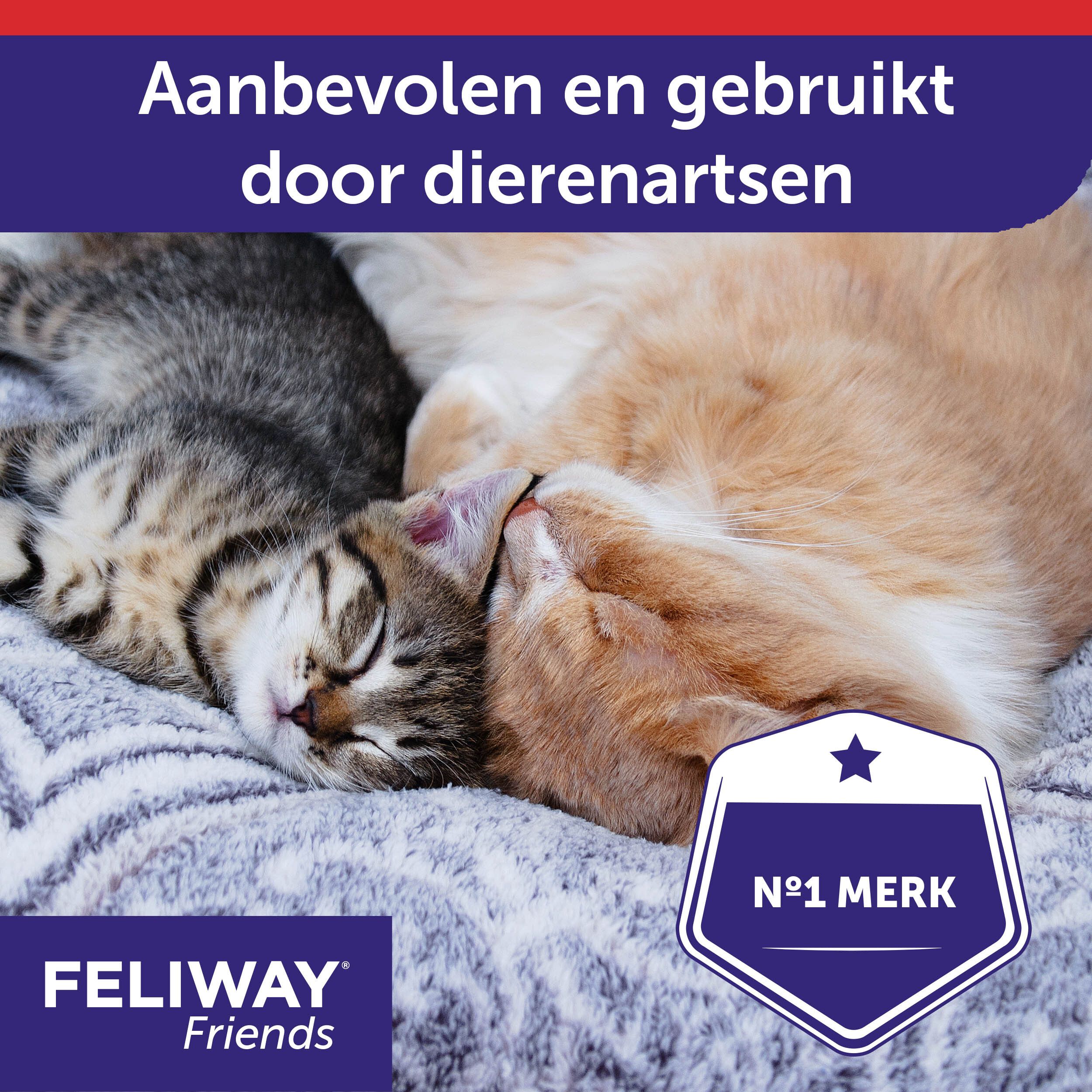 FELIWAY® FRIENDS, 3 navullingen. Helpt spanning tussen katten te verminderen.