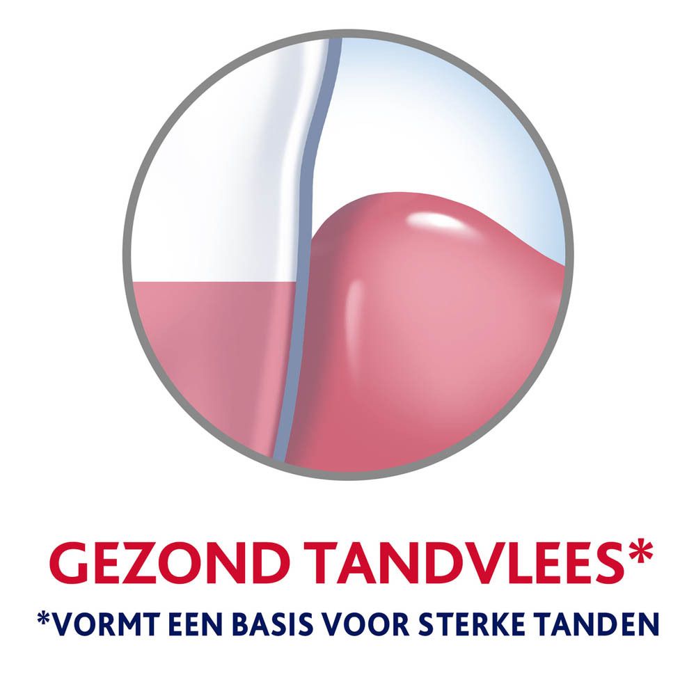 Cirkelvormige weergave van gezond tandvlees. Tekst: Gezond tandvlees.