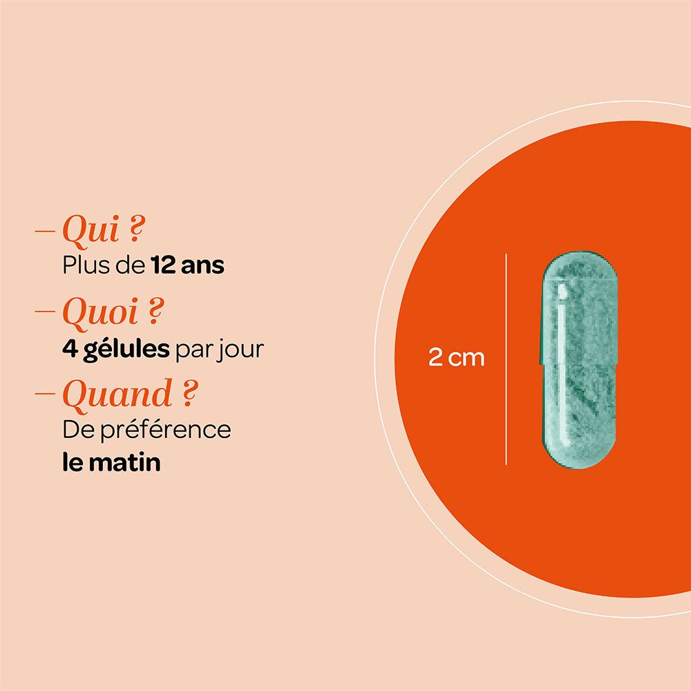 Gélule, 2 cm de long. Texte: Pour qui ? Plus de 12 ans. Quoi ? 4 gélules par jour. Quand ? De préférence le matin.