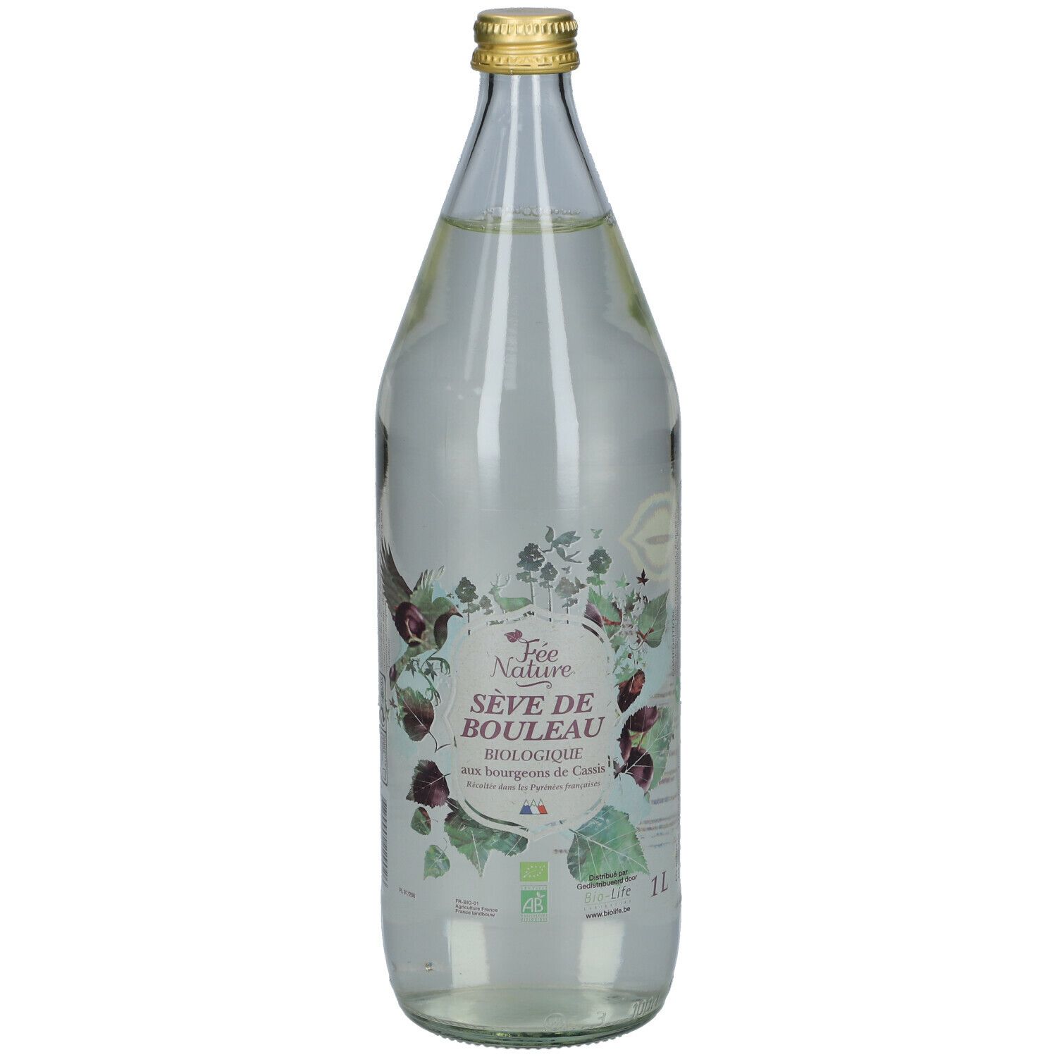 Glazen fles met vloeistof. Opschrift: Sève de Bouleau Biologique. Met zwarte bessenknoppen. Bio-label.