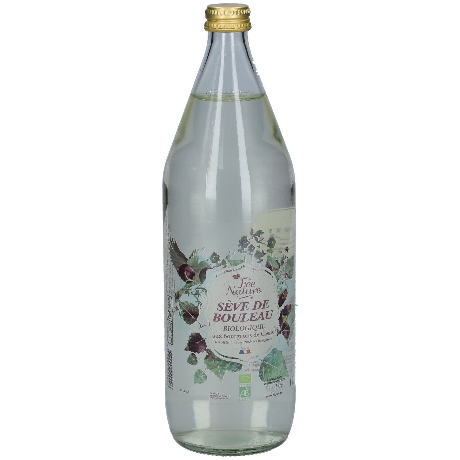 Glazen fles met vloeistof. Opschrift: Sève de Bouleau Biologique. Met zwarte bessenknoppen. Bio-label.