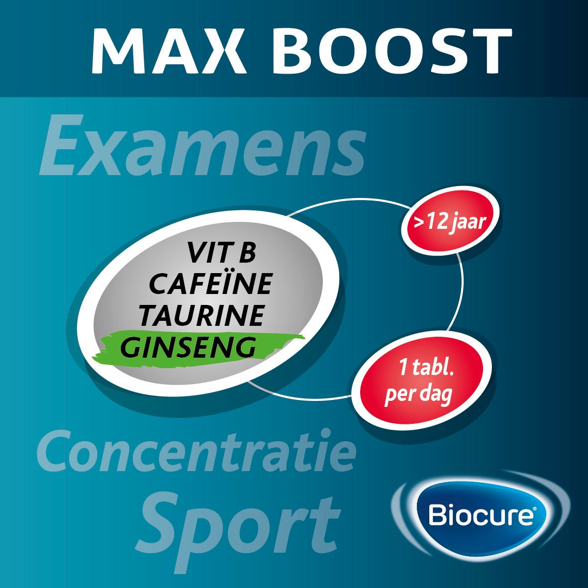 Doos Biocure MAX Boost, 30 tabletten. Bevat cafeïne, taurine, vitamine B en ginseng. Qualiphar-logo.
