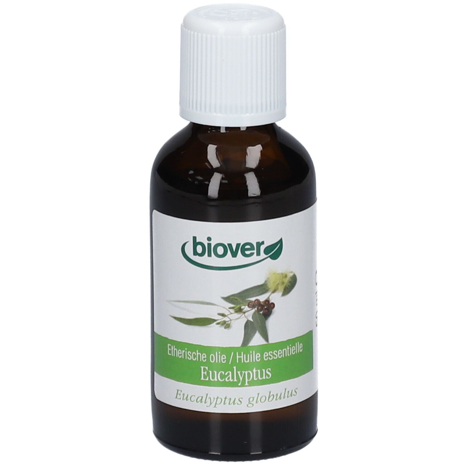 Flacon en verre brun avec bouchon blanc. Étiquette avec logo Biover, nom du produit Eucalyptus. Texte : Eucalyptus globulus, huile essentielle.