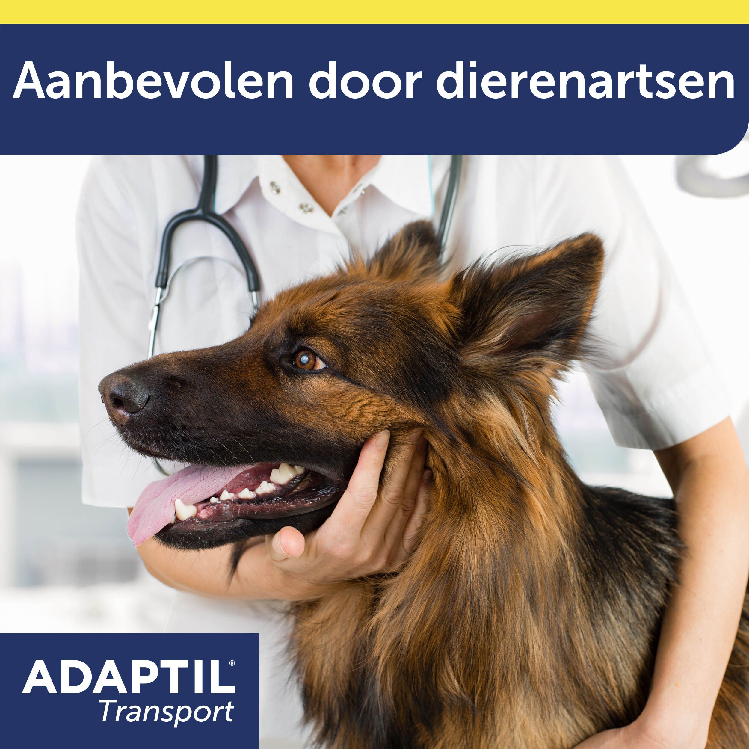 Dierenarts met hond. ADAPTIL® Transport Spray logo. Aanbevolen door dierenartsen.