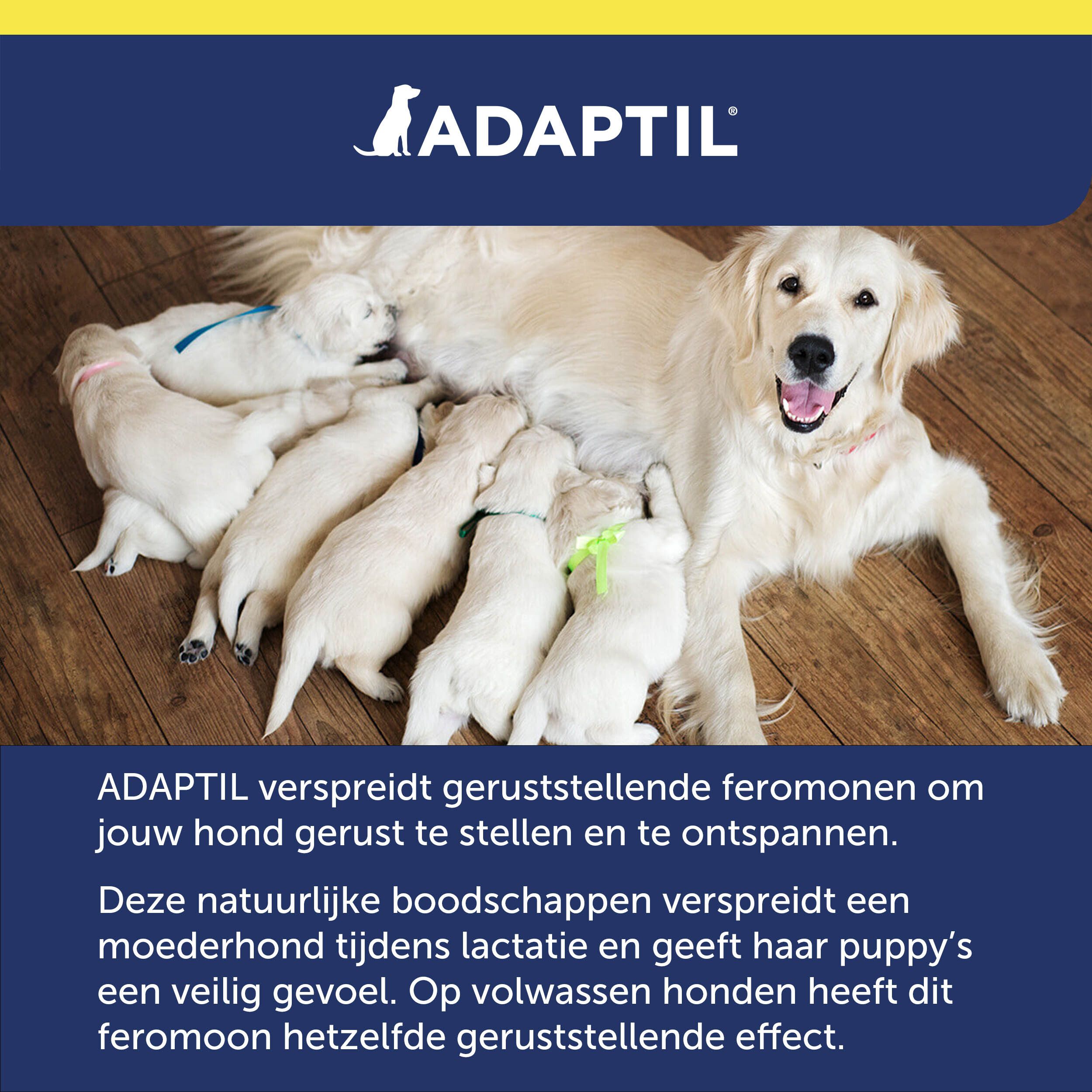 Teef met pups. ADAPTIL® logo. Tekst over kalmerende feromonen.