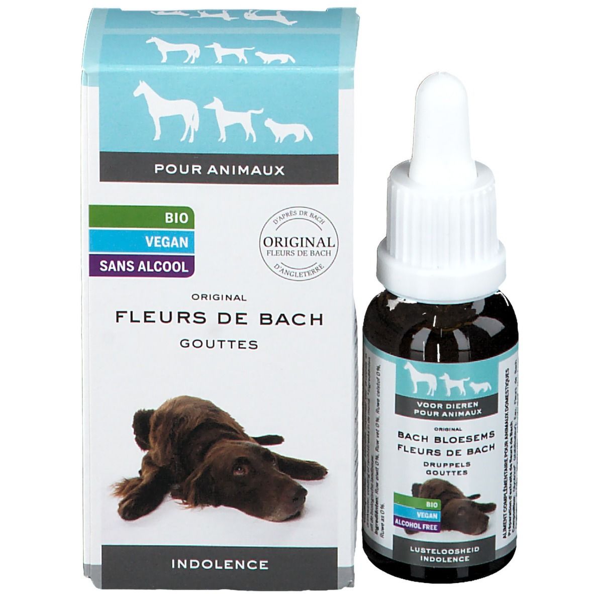 Bruine glazen fles met witte dop en pipet naast een doos. Voor dieren. Tekst en afbeeldingen.