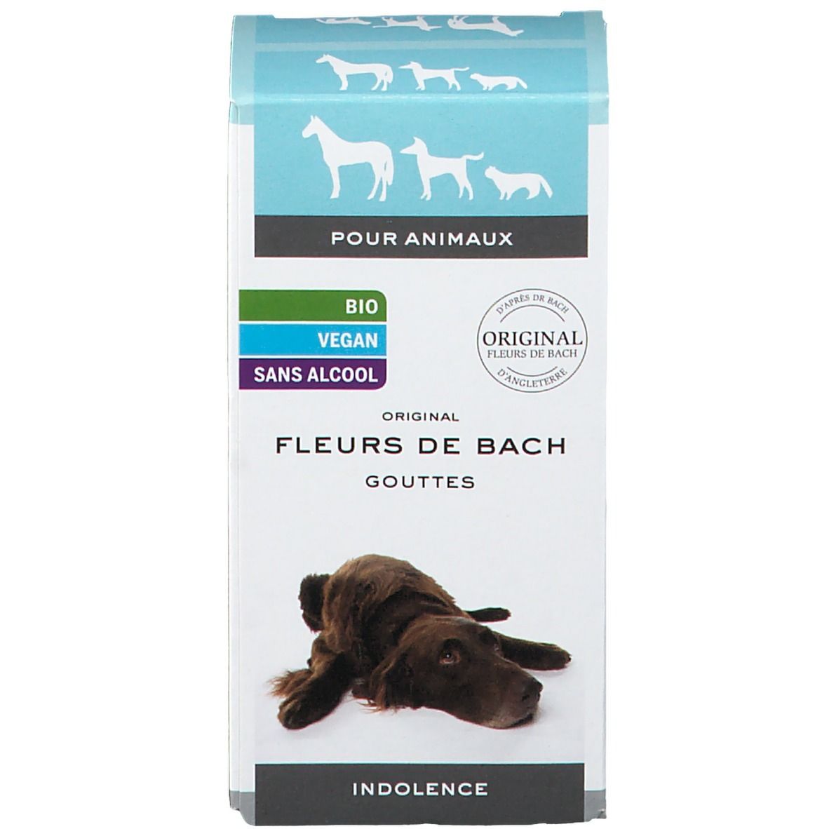 Doos met tekst en afbeeldingen. Voor dieren. Bruine hond. Bio, vegan, zonder alcohol.