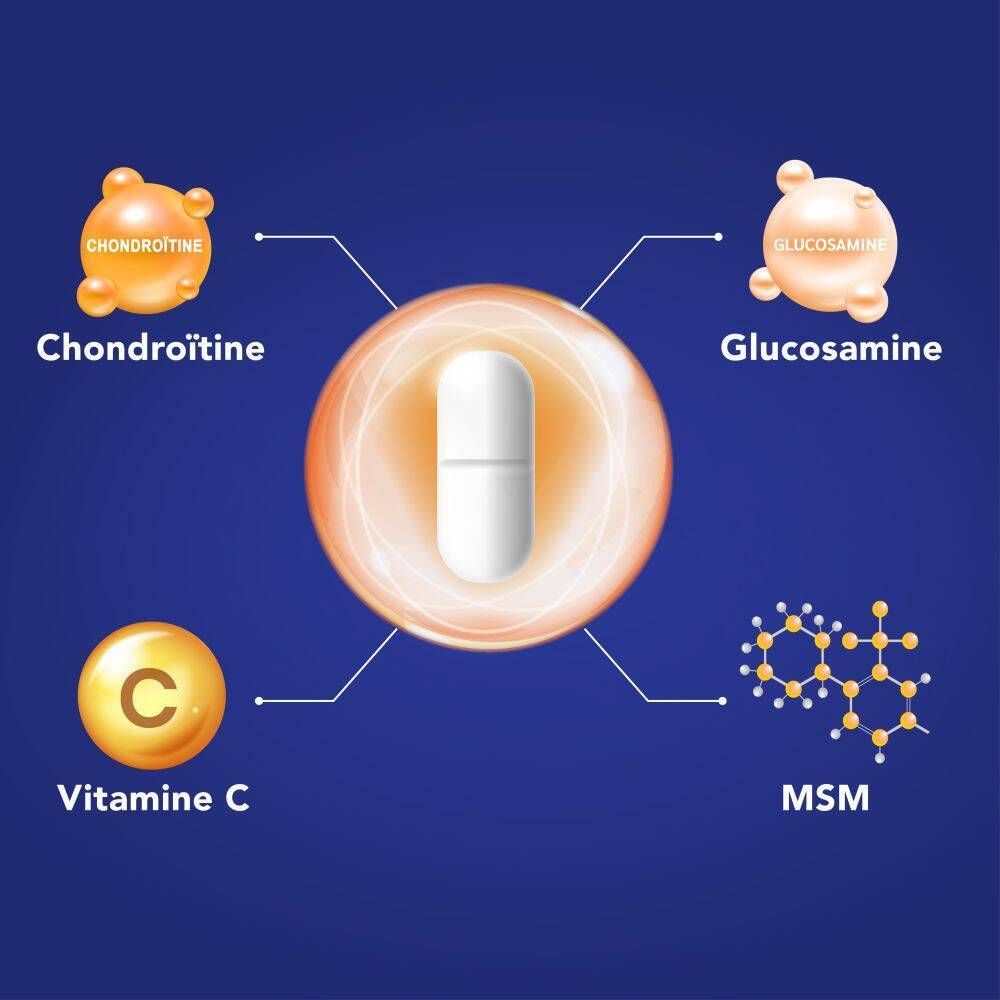 Illustratie: samenstelling van Osteoplus MAX. Ingrediënten: chondroïtine, glucosamine, MSM, vitamine C.