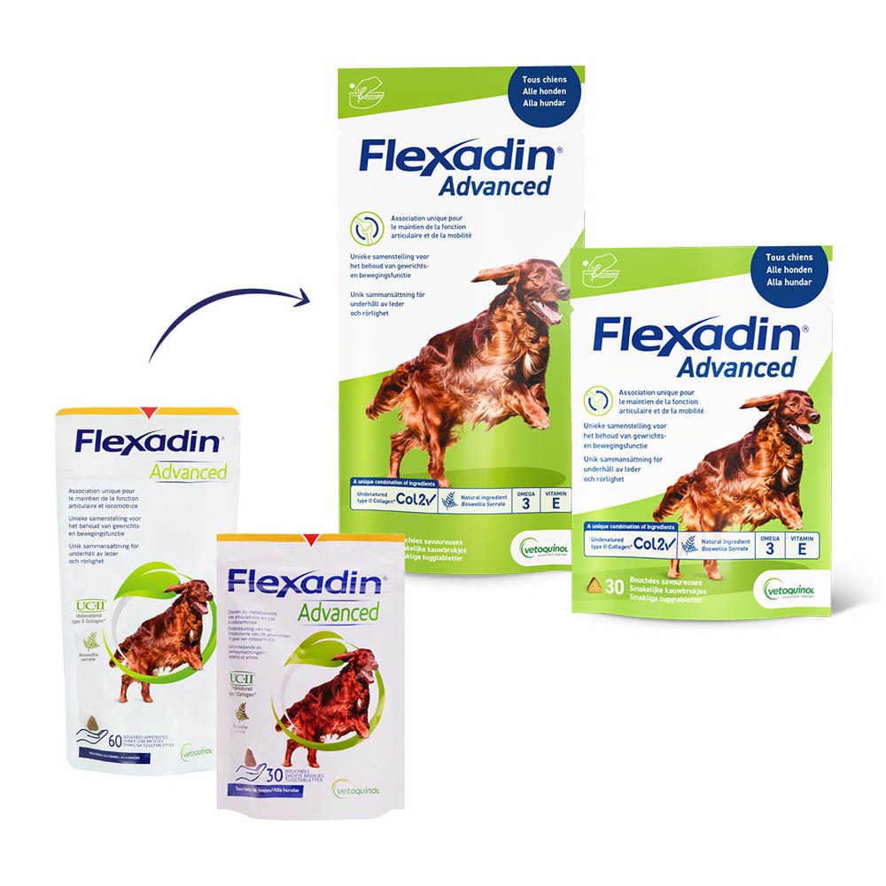 Flexadin Advanced verpakkingen in verschillende maten. Afbeelding van een hond. Bevat 30 en 60 kauwtabletten.