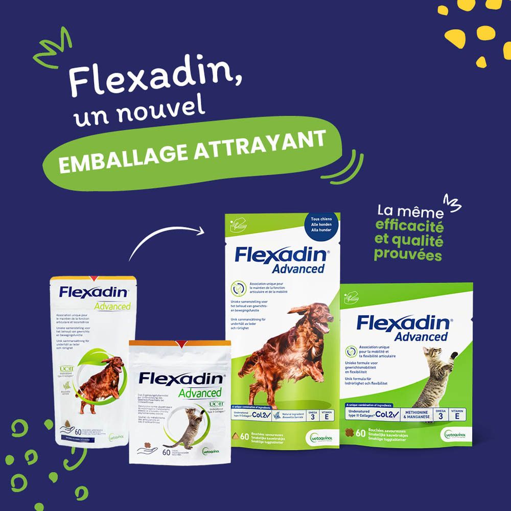 Flexadin Advanced. Comparaison des anciens et nouveaux emballages. Contient 60 comprimés à croquer. Même efficacité.