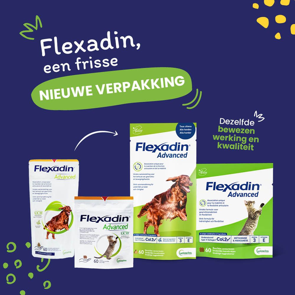 Flexadin Advanced. Vergelijking oude en nieuwe verpakking. Bevat 60 kauwtabletten. Dezelfde werkzaamheid.