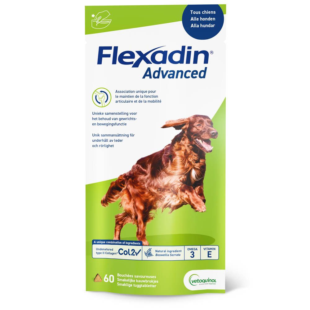 Flexadin Advanced verpakking. Bevat 60 tabletten. Afbeelding van een hond. Tekst in het Duits.