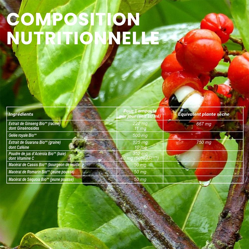 Voedingstabel. Ingrediënten: Ginseng, Gelée Royale, Guarana, Vitamine C. Per ampul en droge plant.