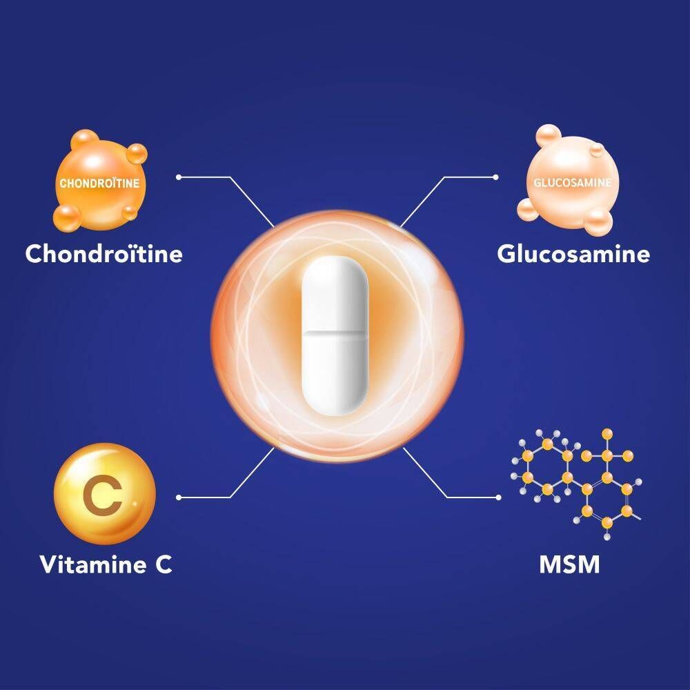 Représentation graphique des ingrédients d'Osteoplus MAX : Chondroïtine, Glucosamine, Vitamine C et MSM.