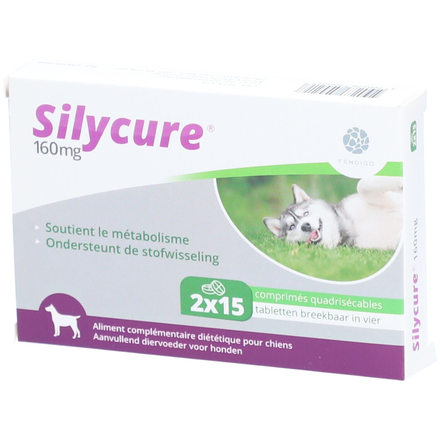 Silycure