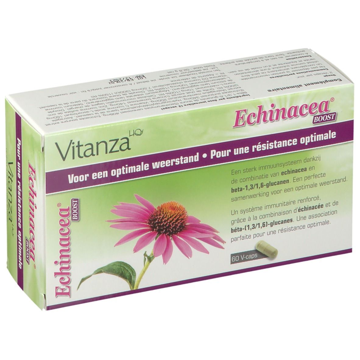 Boîte de Vitanza HQ Echinacea Boost. Image du produit et texte. Contient 60 capsules.