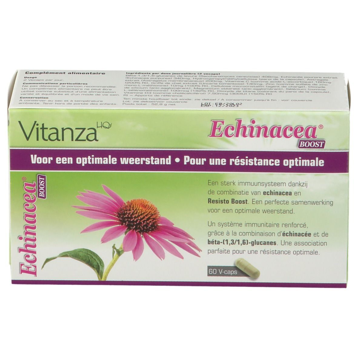 Boîte de Vitanza HQ Echinacea Boost. Image du produit et texte. Contient 60 capsules.