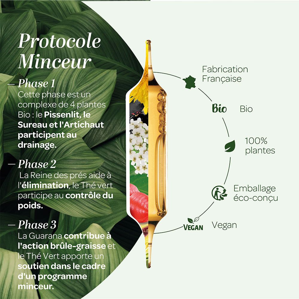 Infographie : PROTOKOLL Minceur. Phases, ingrédients, certifications et logo Vegan.