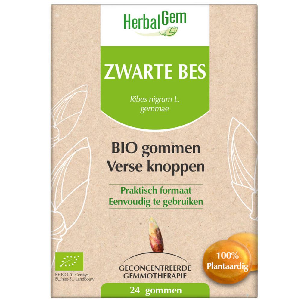 Kartonnen verpakking HerbalGem. Opschrift: Zwarte Bes, BIO gommes, 24 gommes. Bio-label en 100% plantaardig. Illustratie van knop en fruit.