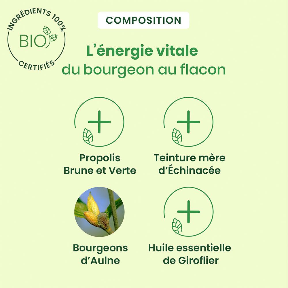 Flacon en verre brun avec spray. Inscription: HerbalGem Spray Propolis. 15ml. Avec ingrédients.
