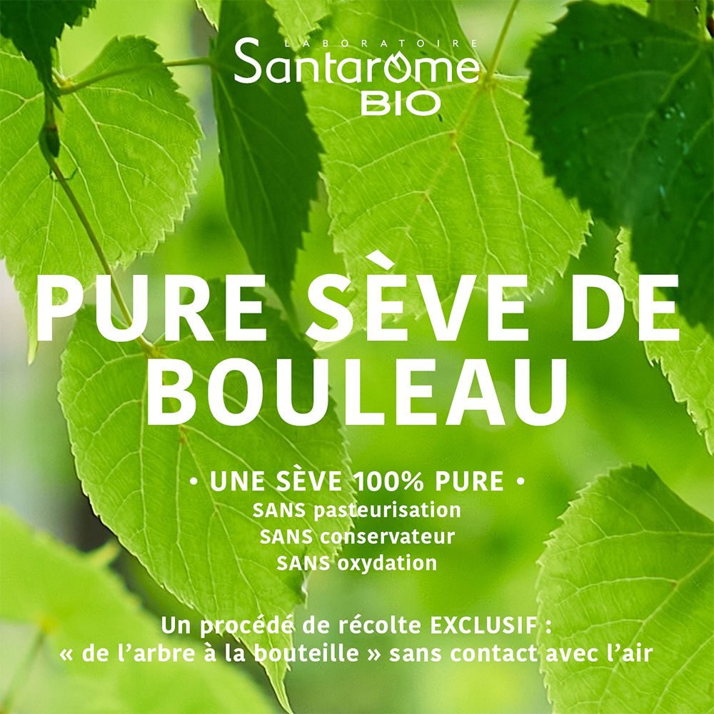 Fond vert avec feuilles. Texte: 100% pure Sève de Bouleau, sans conservateur, sans pasteurisation.