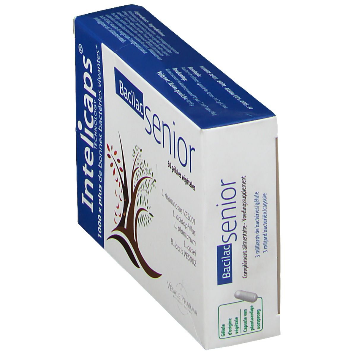 Schräg gestellte Kartonverpackung mit Produktnamen und Logo. Enthält 30 pflanzliche Kapseln. Enthält lebende Bakterien. Blaue und weiße Farbgebung.