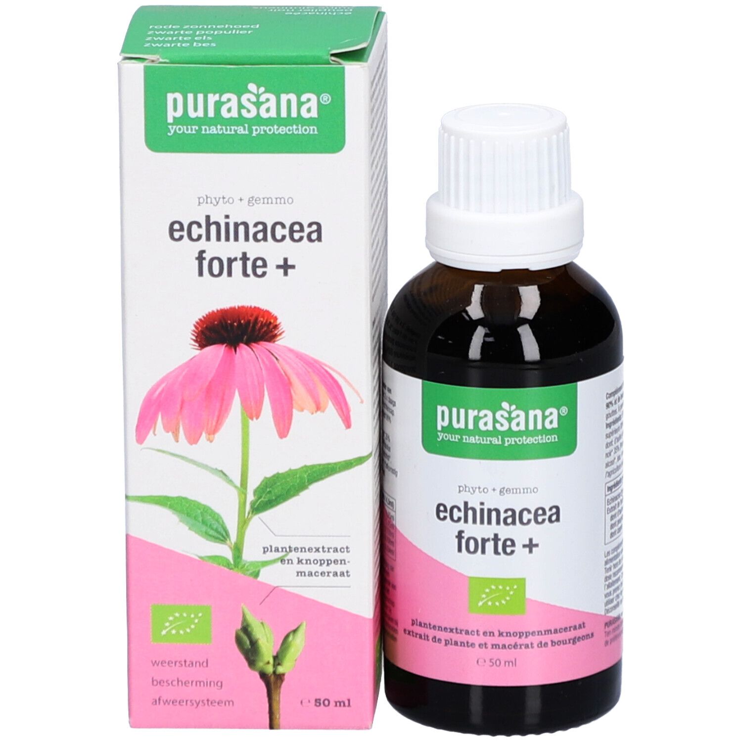 Flacon et boîte du produit. Boîte avec illustration d'une fleur d'échinacée. Label bio.