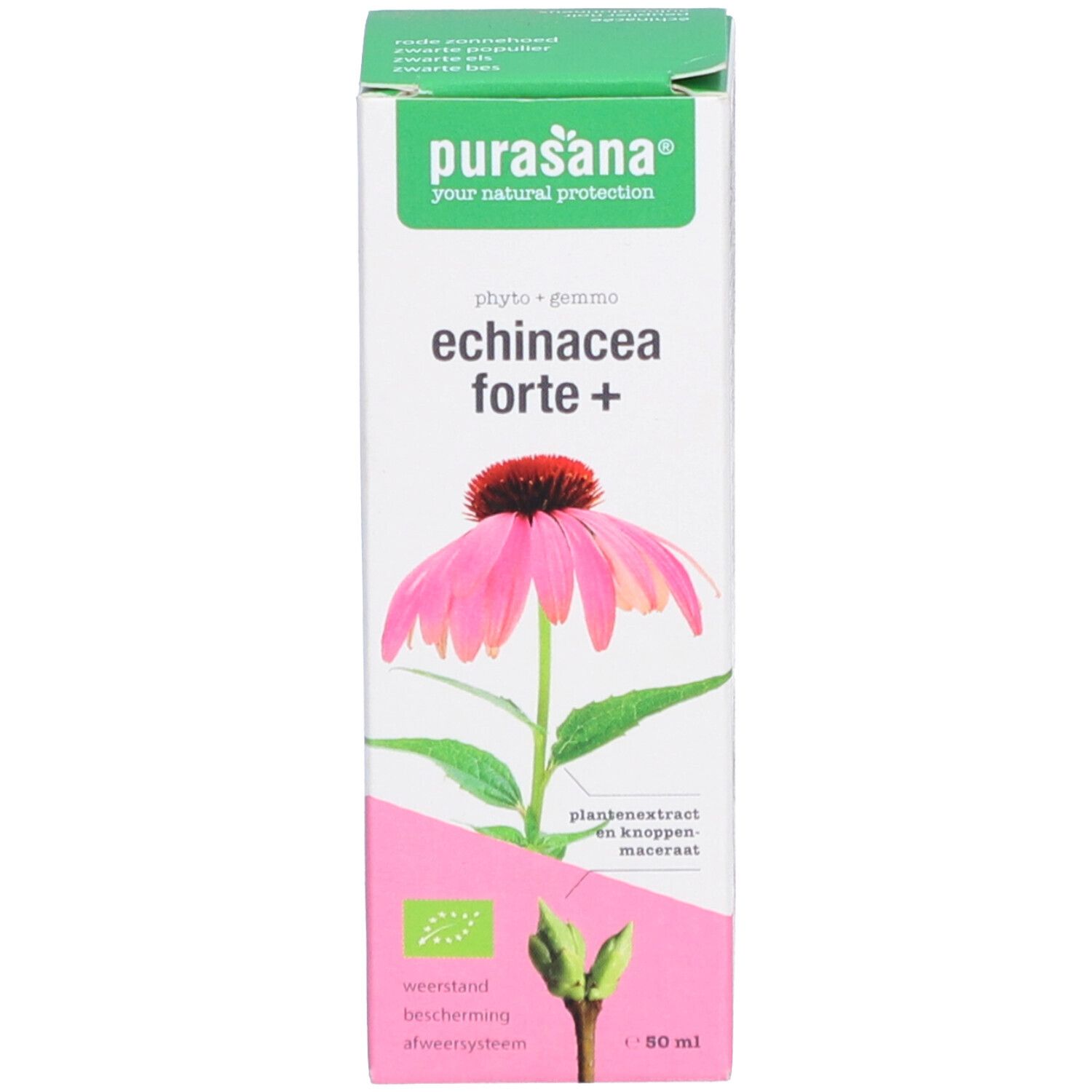 Emballage du produit. Boîte avec illustration d'une fleur d'échinacée. Label bio.