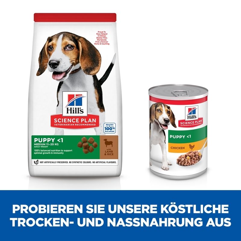 Hill's Science Plan Medium Welpenfutter mit Lamm & Reis