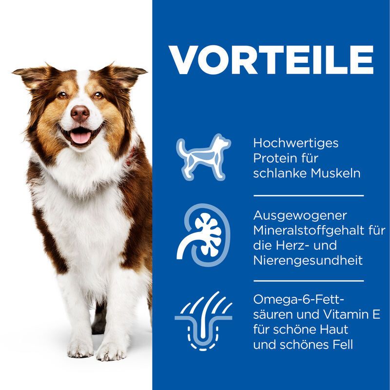 Blaues Feld mit Vorteilen. Symbole für Muskeln, Nieren und Fell. Text: Hochwertiges Protein, Mineralstoffgehalt, Omega-6-Fettsäuren.