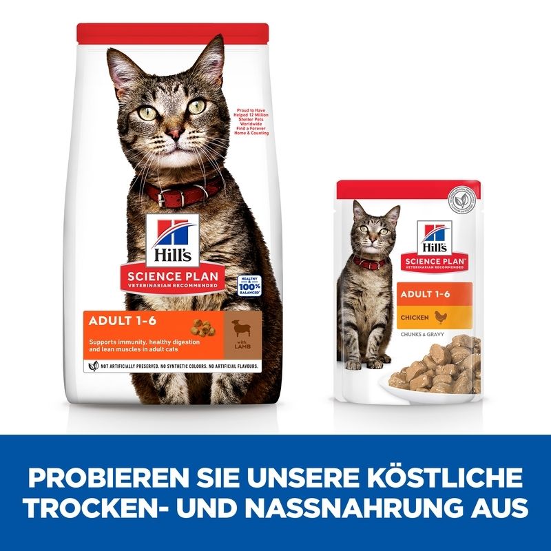 Katzenfutterbeutel und -beutelchen. Text: Hill's Science Plan Adult 1-6. Trocken- und Nassnahrung.