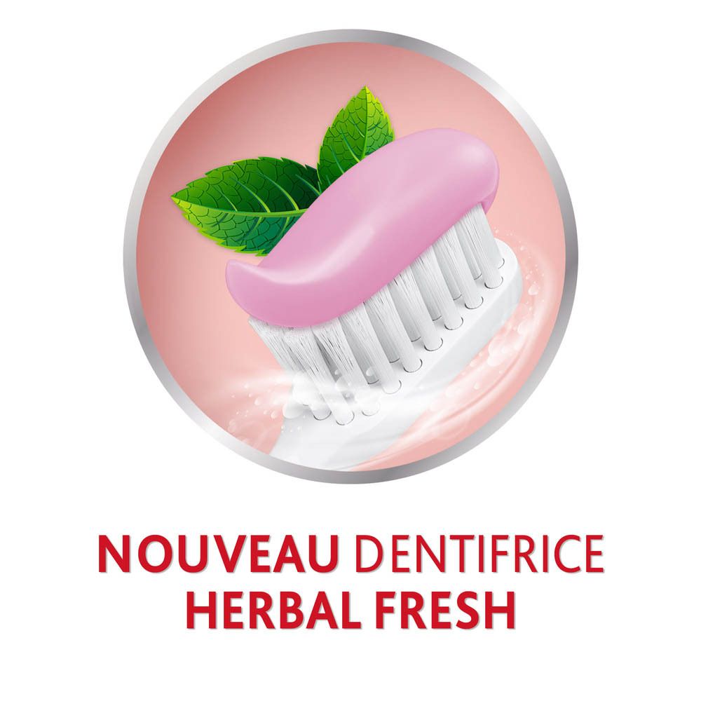 Cercle. Brosse à dents avec poils roses. Texte : Nouveau Dentifrice Herbal Fresh.