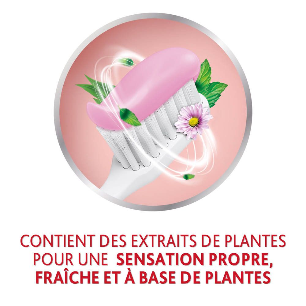 Cercle. Brosse à dents avec poils roses. Texte : Contient des extraits de plantes.
