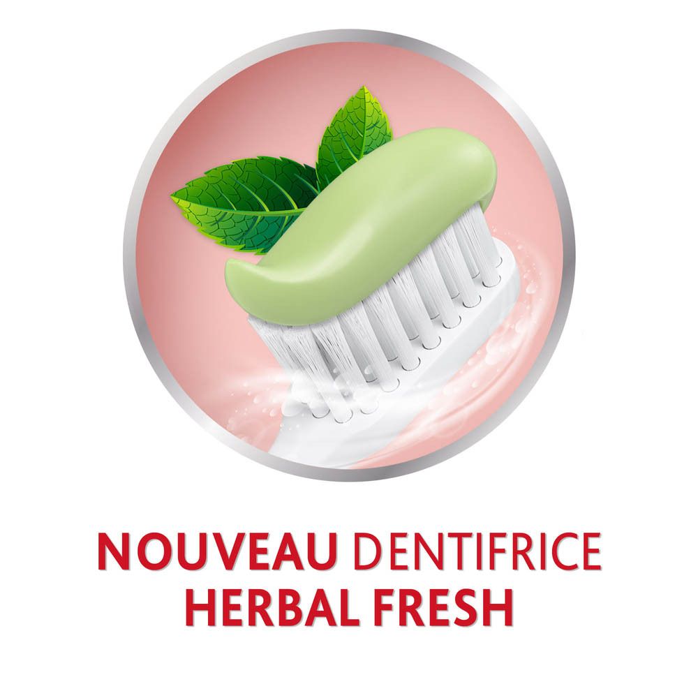 Tube de dentifrice parodontax® Herbal Fresh. Tube et boîte. Logo et texte sur le tube.