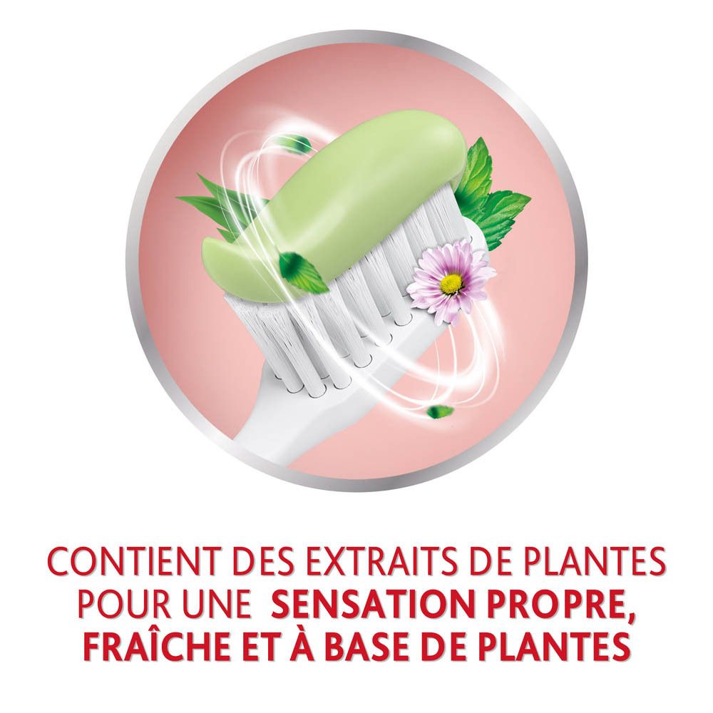 Illustration ronde avec dent et gencive. Texte : aide à prévenir le saignement des gencives.