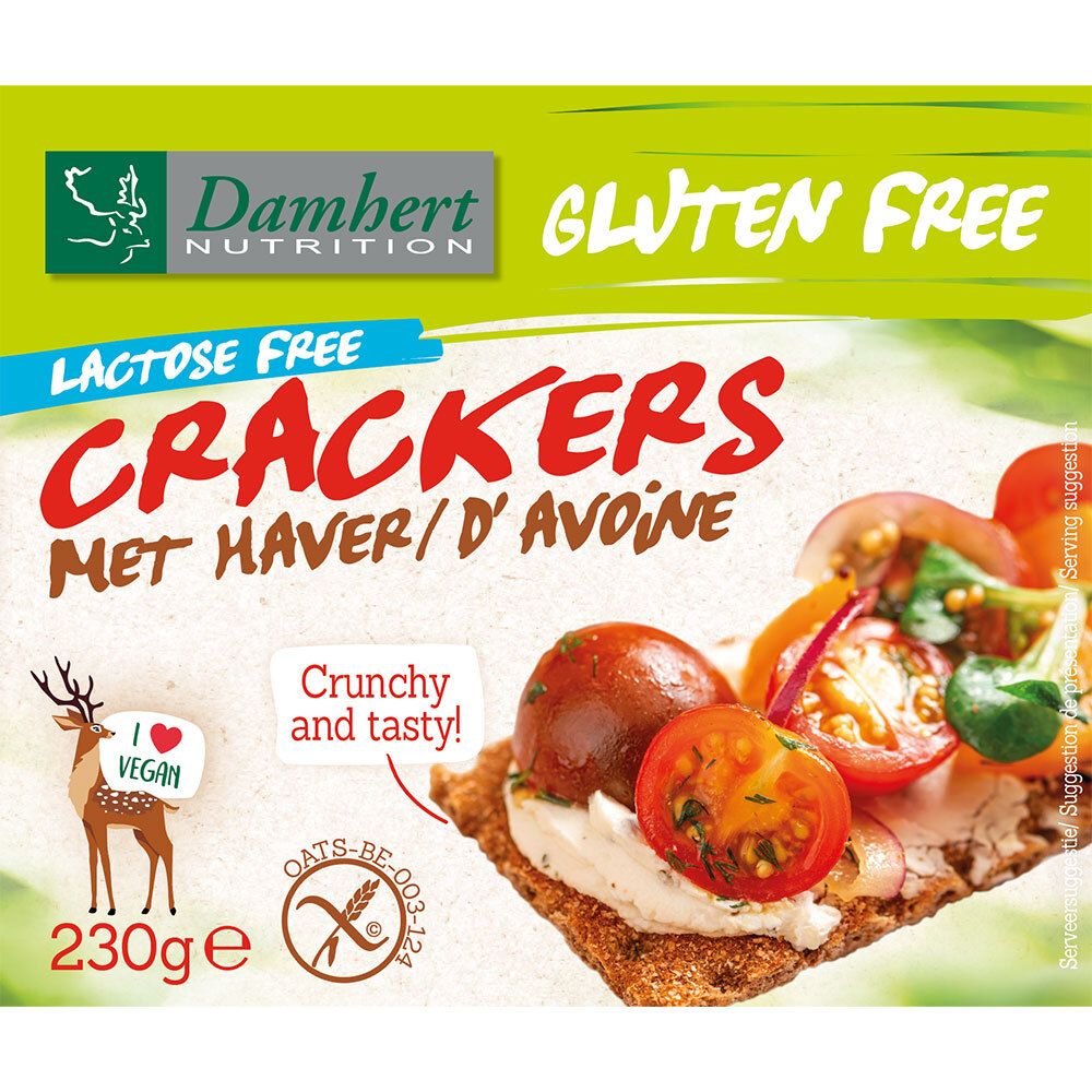 Damhert Cracker avoine sans lactose