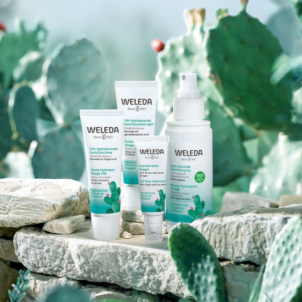 Divers produits Weleda. Fluide hydratant, spray, et plus encore. Illustrations de cactus.