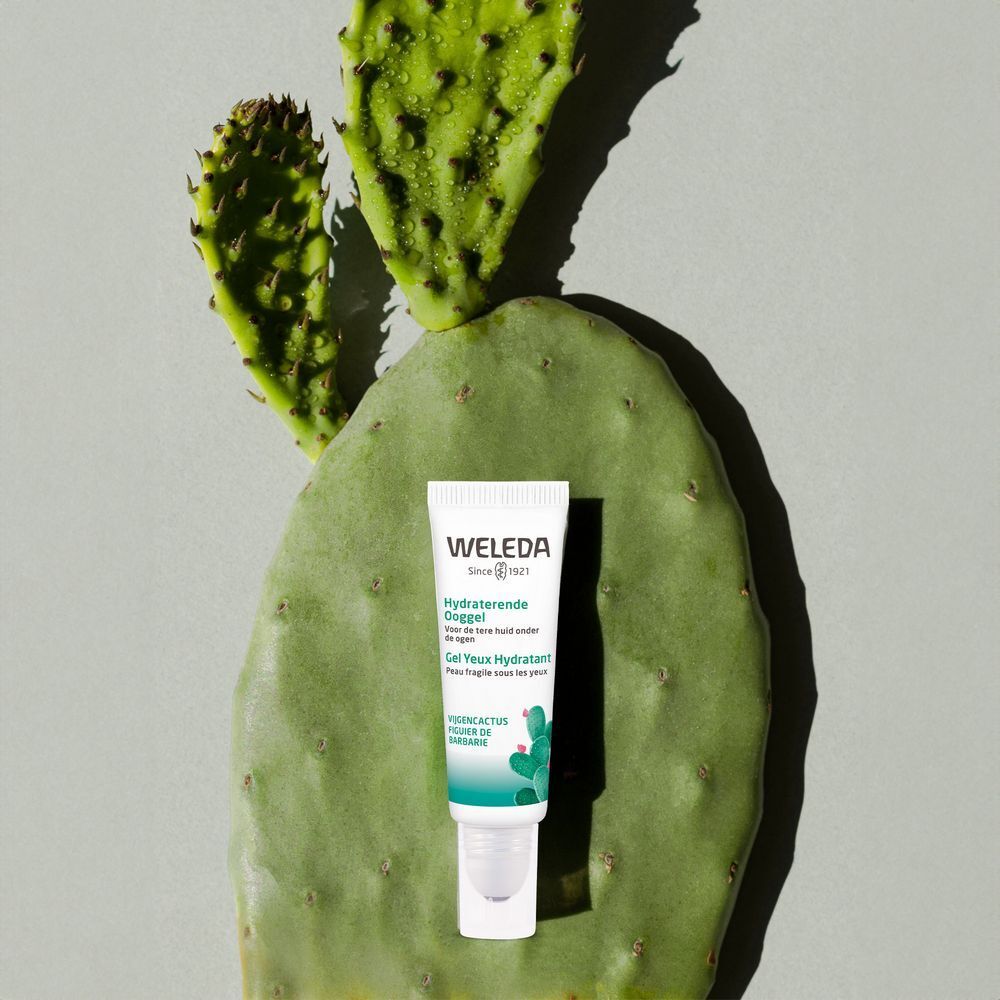 Weleda ooggel tube op cactusblad. Tekst: Hydraterende Ooggel, Gel Yeux Hydratant, Vugencactus figue de barbarie.