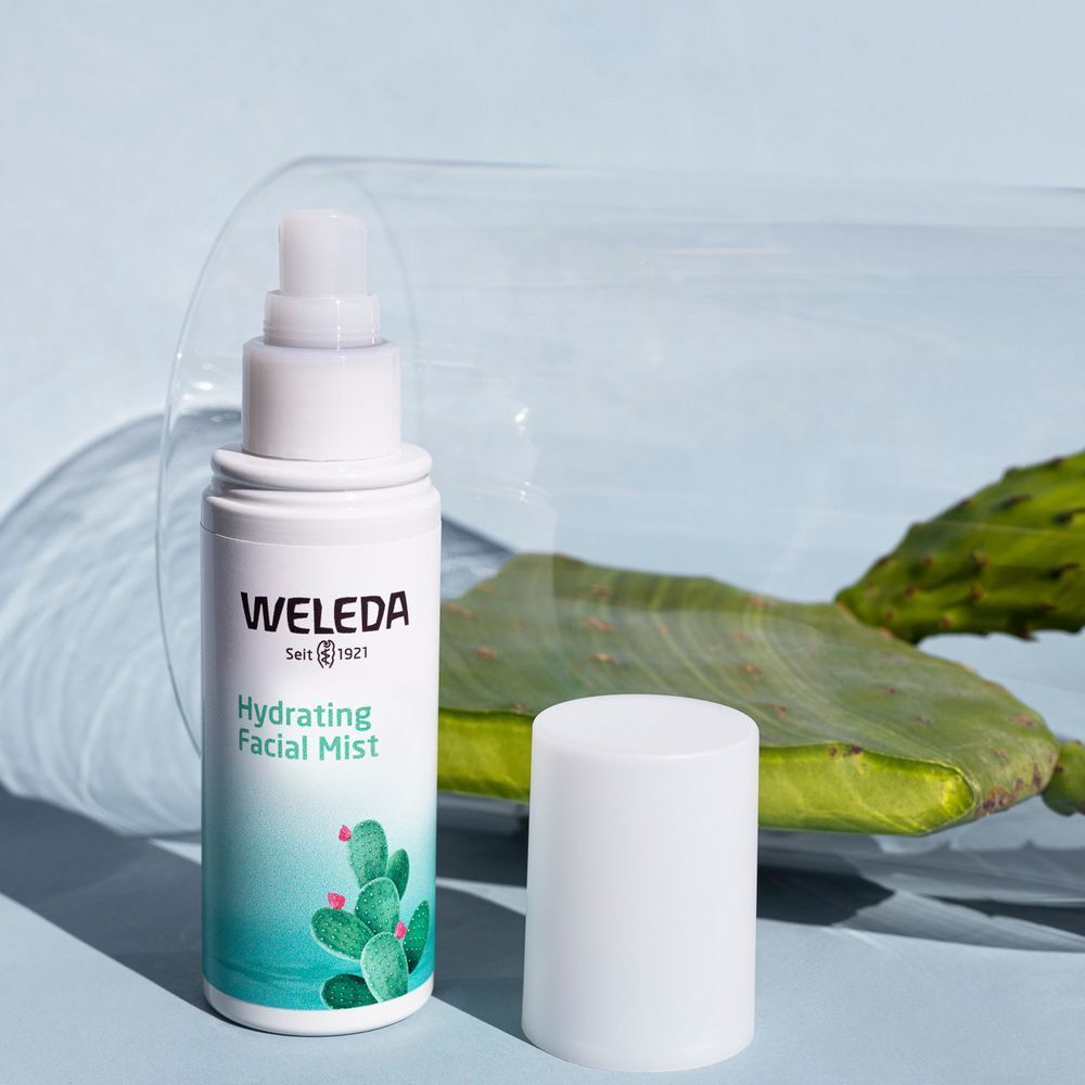 Weleda Hydrating Facial Mist. Witte spuitfles met dop eraf. Groen en turquoise etiket. Cactus illustratie.