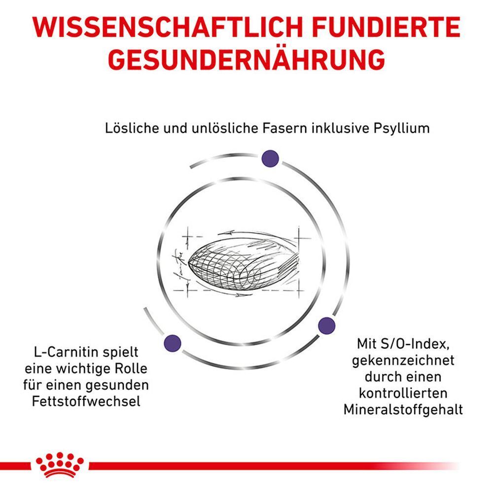 Grafik mit wissenschaftlichen Informationen über lösliche und unlösliche Fasern und L-Carnitin.