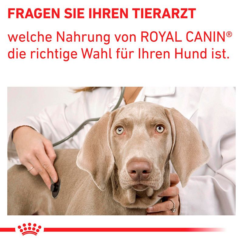 Vorderseite eines 3,5 kg Beutels Royal Canin Mature Consult Katzenfutter mit Katzenabbildung.