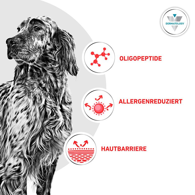 Hund mit Symbolen für Oligopeptide, Allergenreduktion und Hautbarriere.