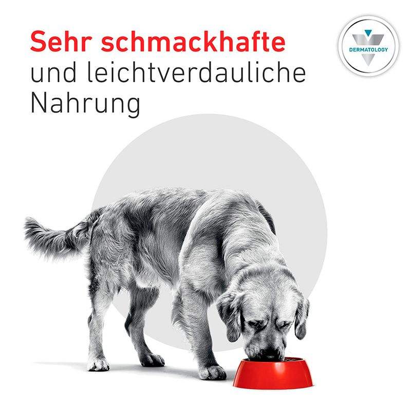 Ein Hund frisst aus einem roten Napf. "Sehr schmackhafte und leichtverdauliche Nahrung."